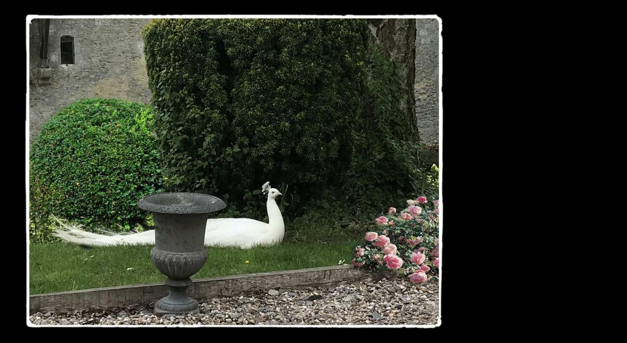 Manoir De Livet Bed & Breakfast Saint-Germain-de-Livet ภายนอก รูปภาพ